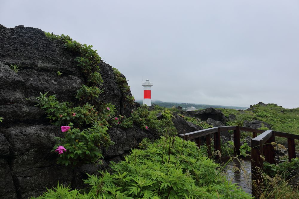 沓形岬公園の画像 - 4枚目