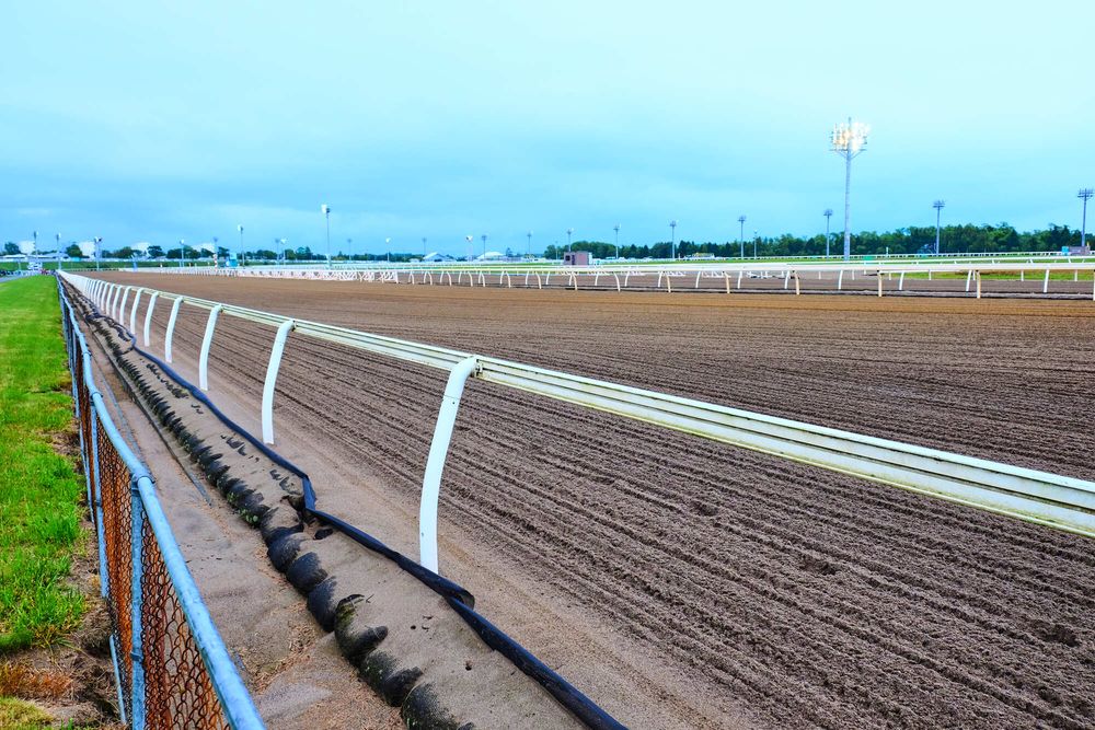 門別競馬場の画像 - 3枚目