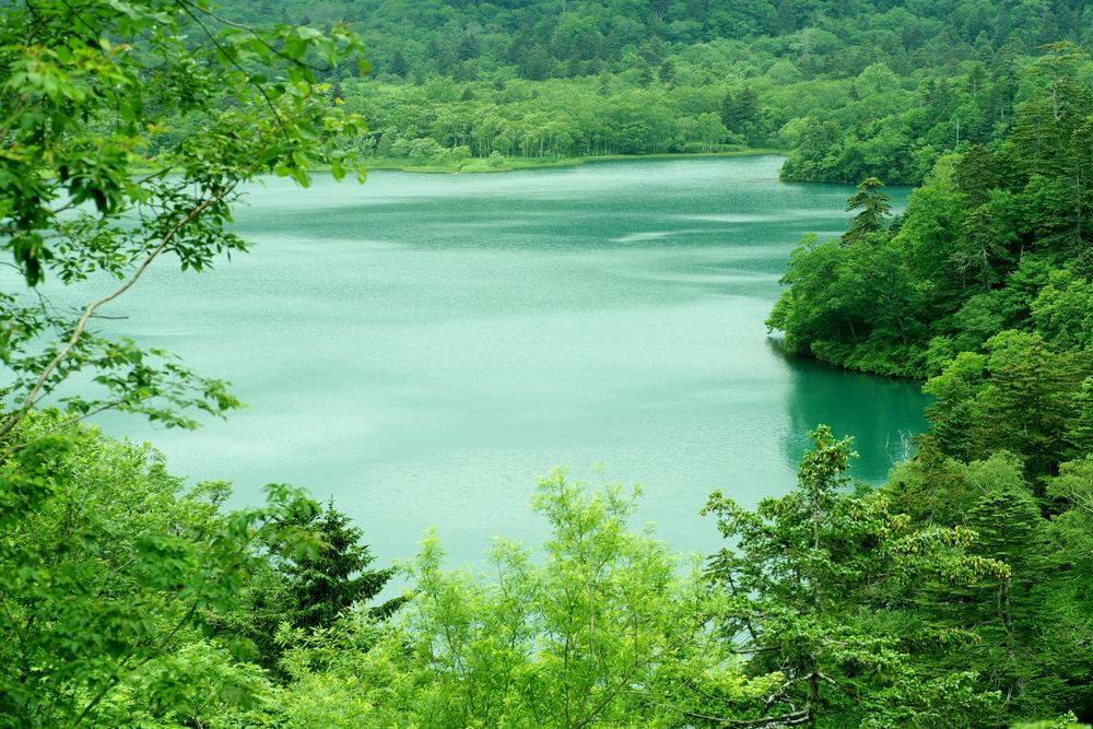 オコタンペ湖の画像 - 3枚目