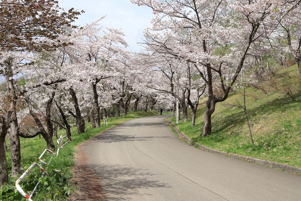 東明公園の画像 - 4枚目
