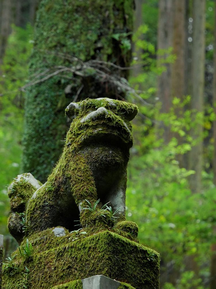 上色見熊野座神社】の周辺スポット・アクセス・口コミ - Prism Japan