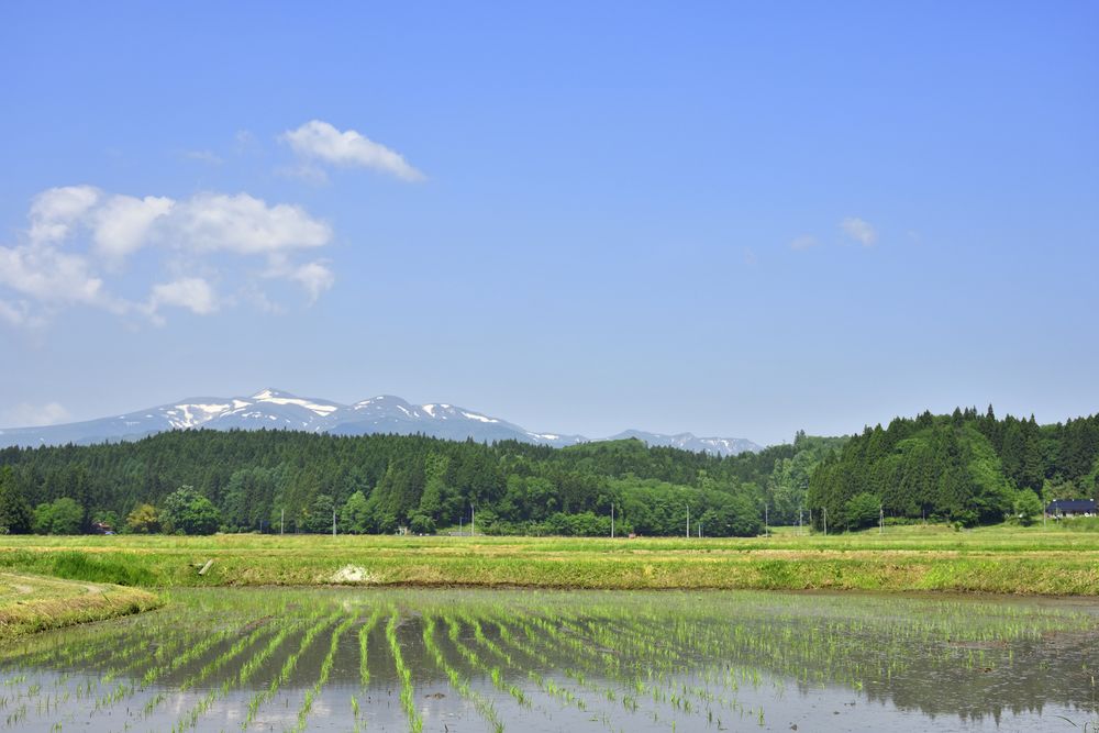 骨寺村荘園遺跡の画像 - 5枚目