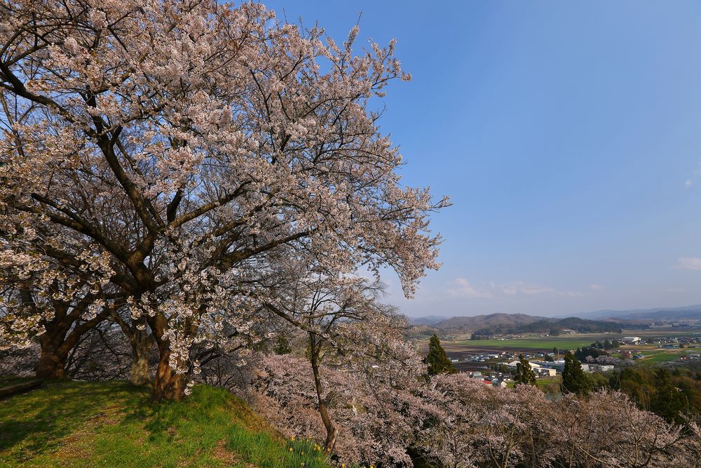 城山公園の画像 - 4枚目