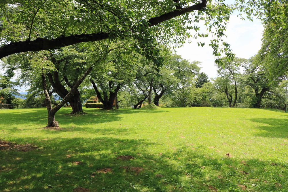 城山公園の画像 - 5枚目