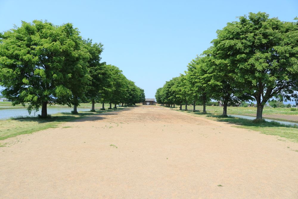 志波城跡の画像 - 2枚目