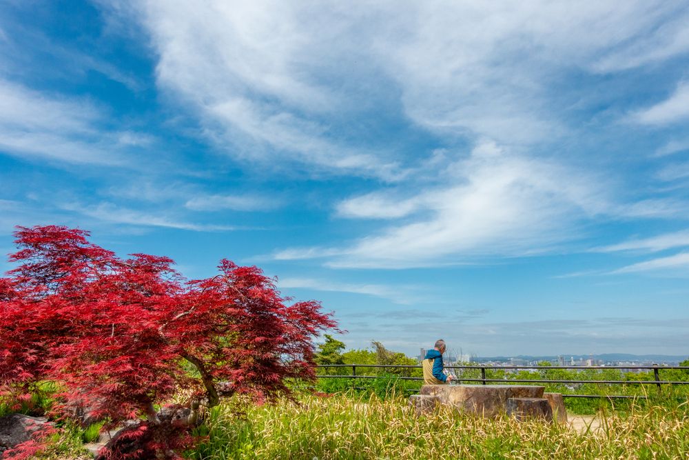 大年寺山公園の画像 - 2枚目