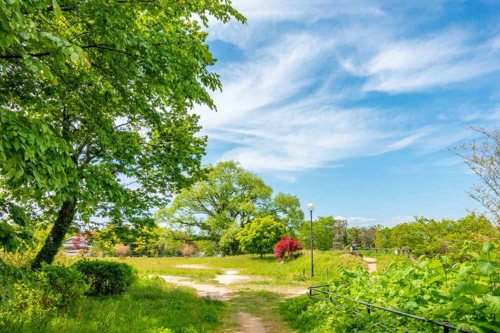大年寺山公園