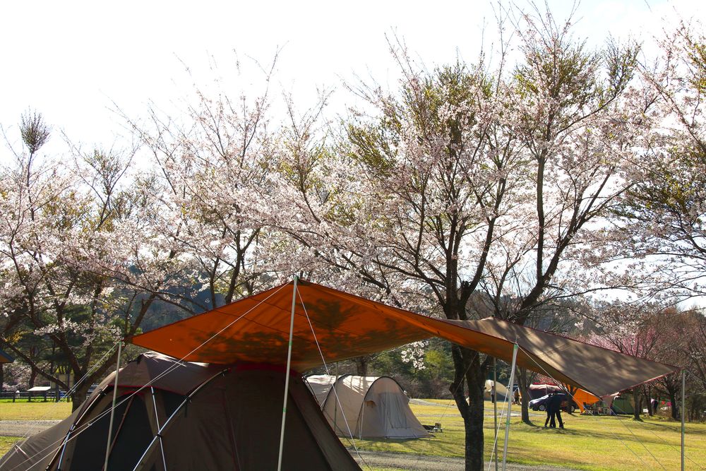 吹上高原キャンプ場の画像 - 2枚目