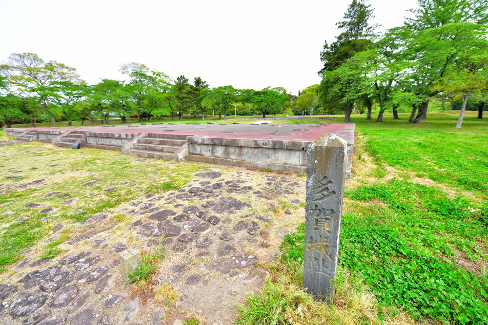 多賀城跡の画像 - 6枚目