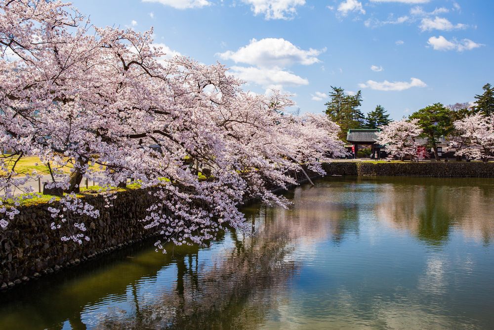 米沢城跡の画像 - 3枚目