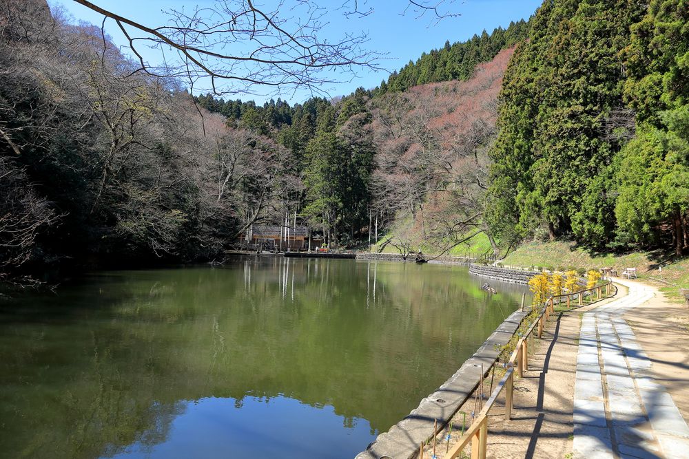 龍澤山 曹洞宗 善寳寺の画像 - 4枚目