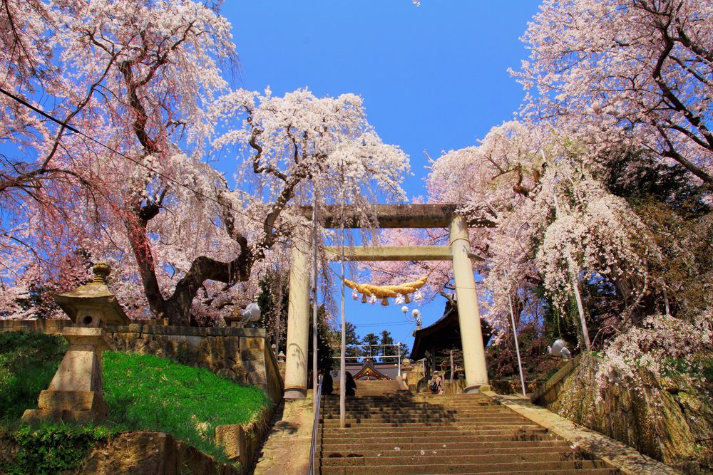 烏帽子山八幡宮の画像 - 4枚目