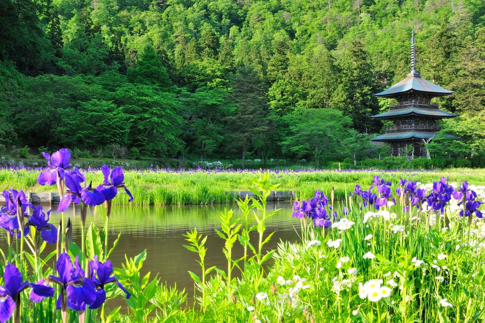 安久津八幡神社の画像 - 2枚目