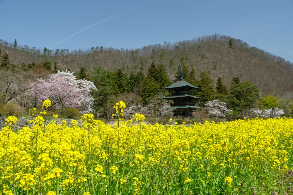 安久津八幡神社の画像 - 3枚目
