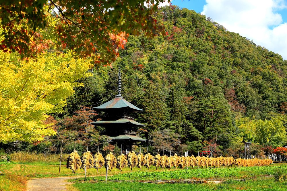 安久津八幡神社の画像 - 4枚目