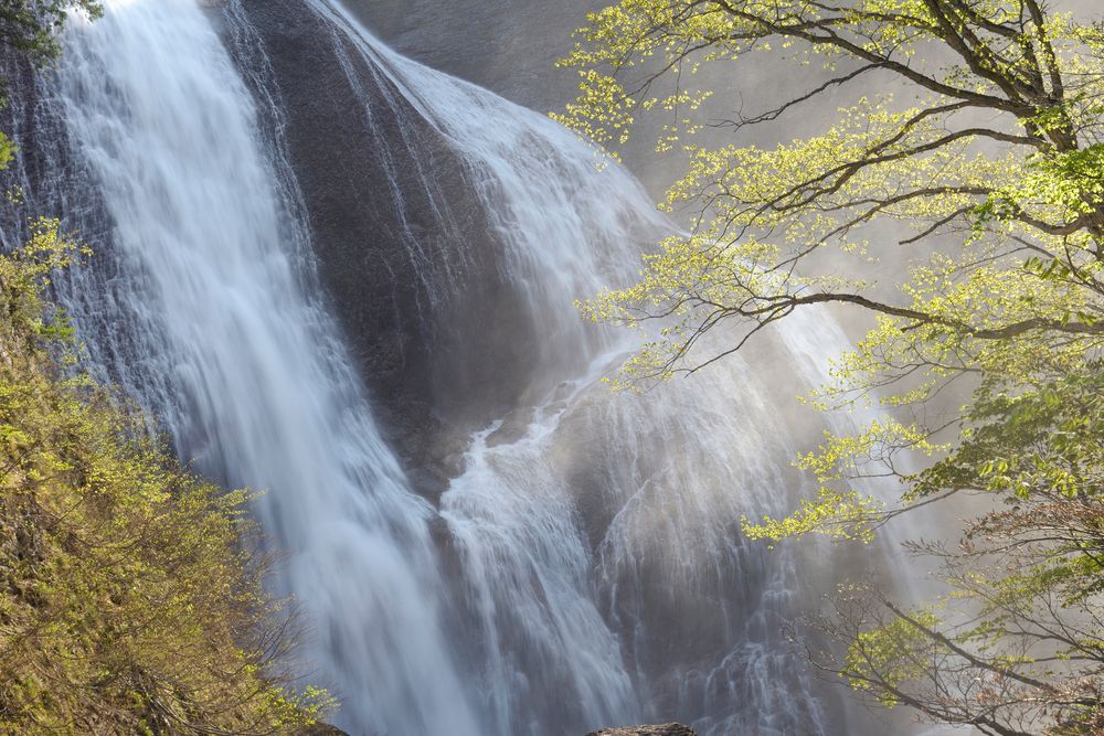 滑川大滝の画像 - 4枚目