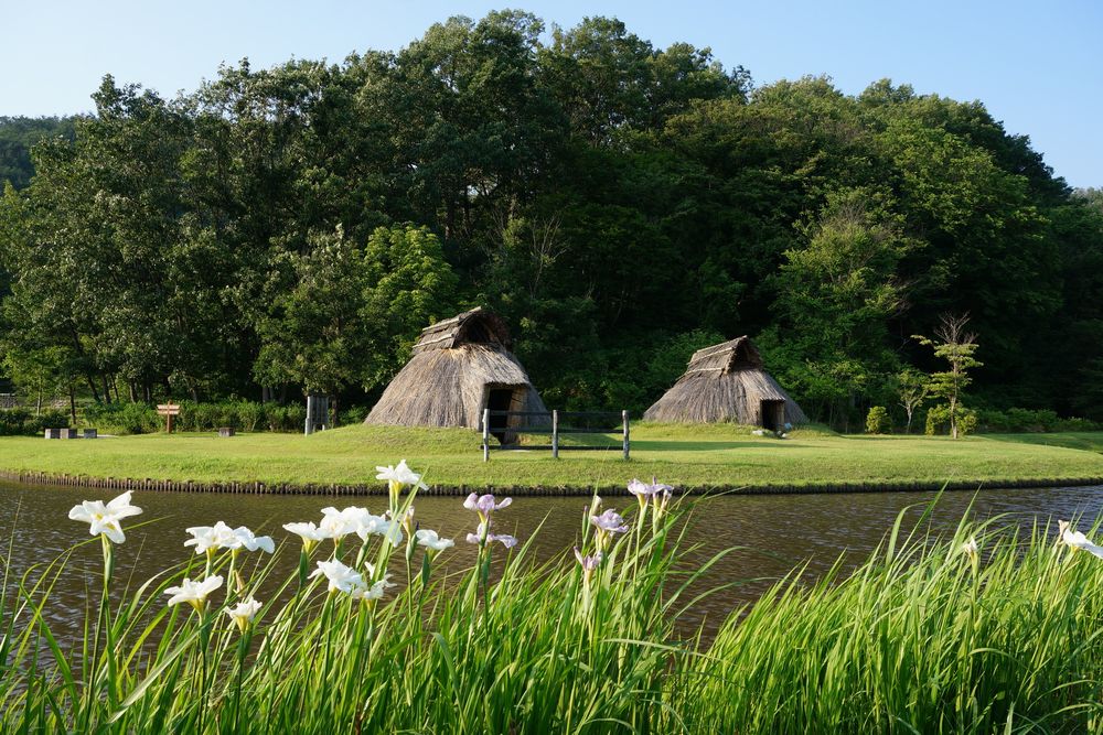 まほろば古の里歴史公園の画像 - 2枚目