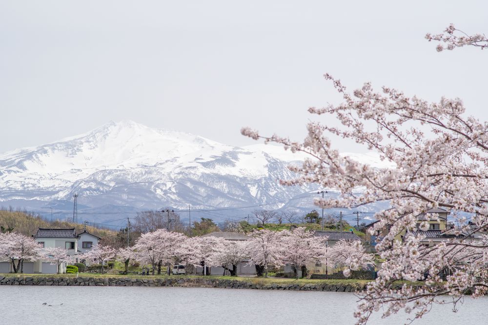 勢至公園の画像 - 2枚目