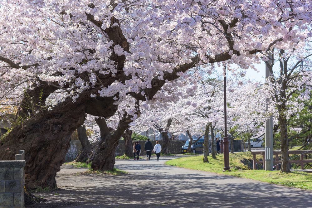 勢至公園の画像 - 3枚目