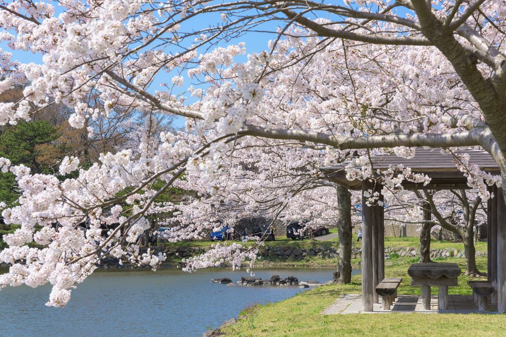 勢至公園の画像 - 5枚目