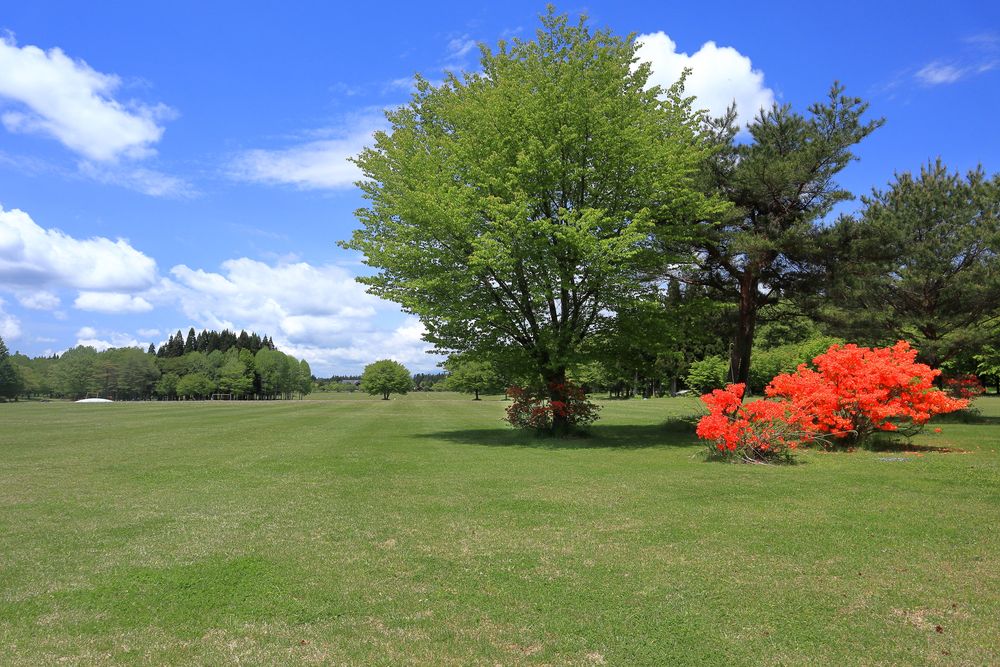 北欧の杜公園の画像 - 2枚目