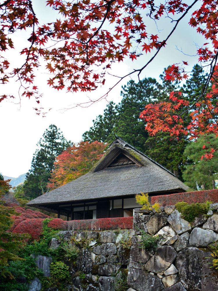 古峯園の画像 - 4枚目