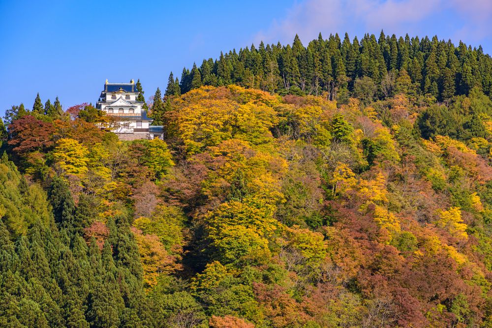 稲庭城の画像 - 5枚目