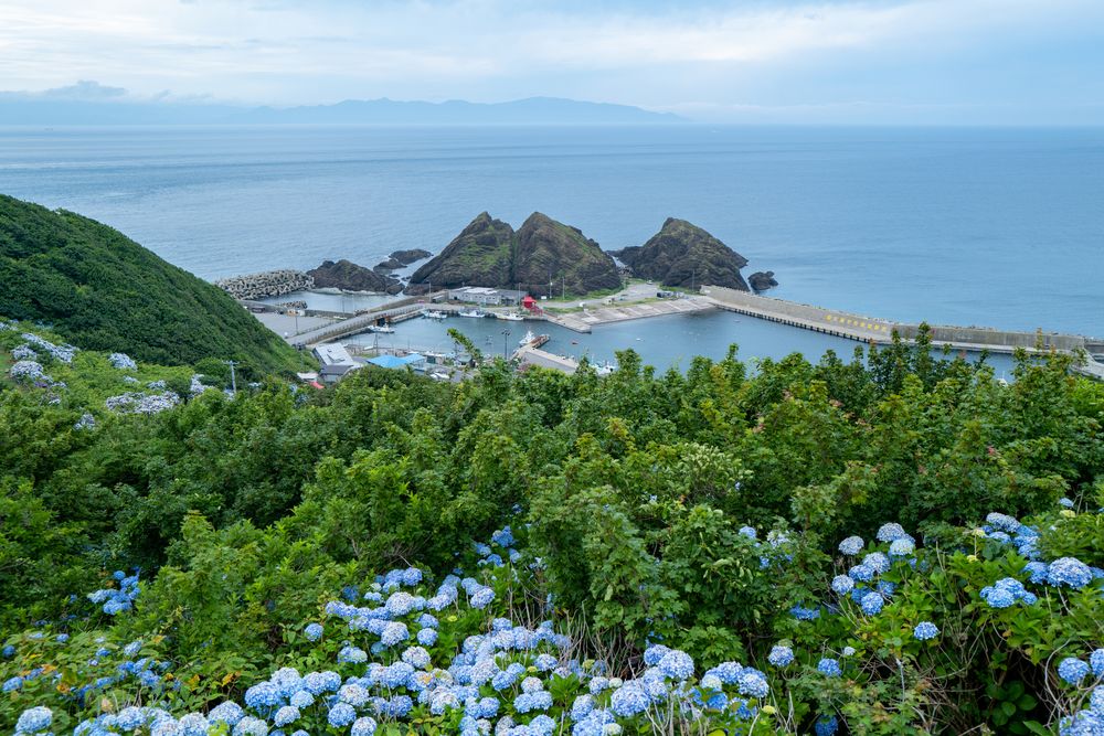 龍飛崎