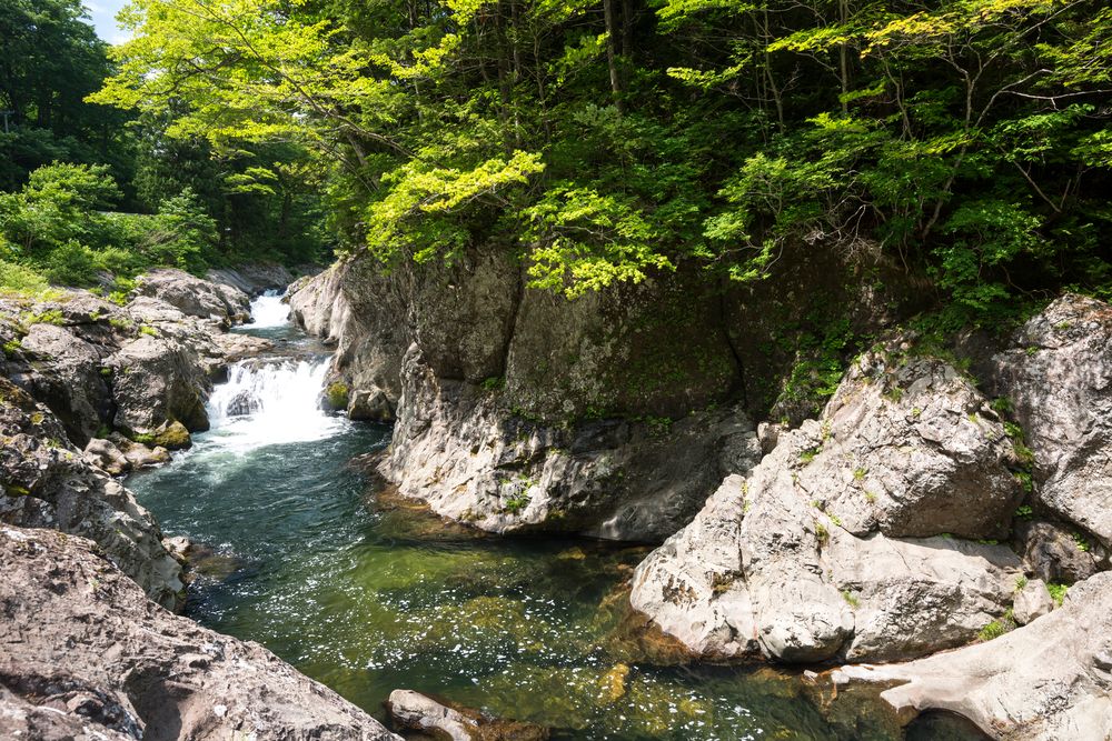 薬研渓流の画像 - 4枚目