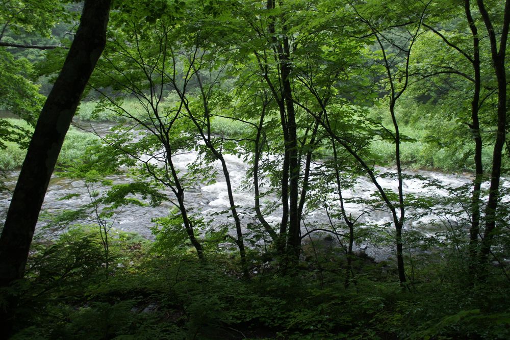 薬研渓流の画像 - 5枚目