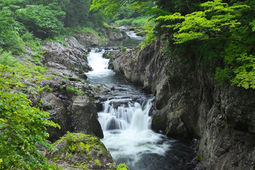 薬研渓流の画像 - 6枚目