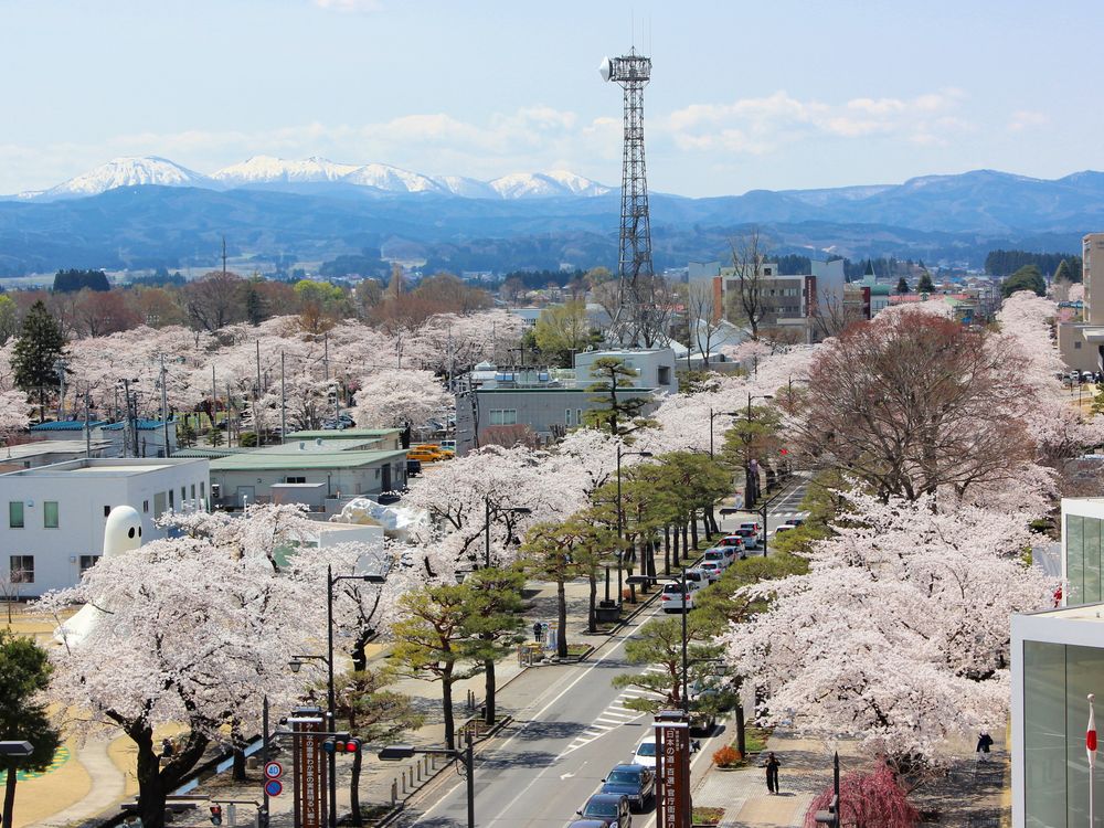 十和田市官庁街通りの画像 - 3枚目