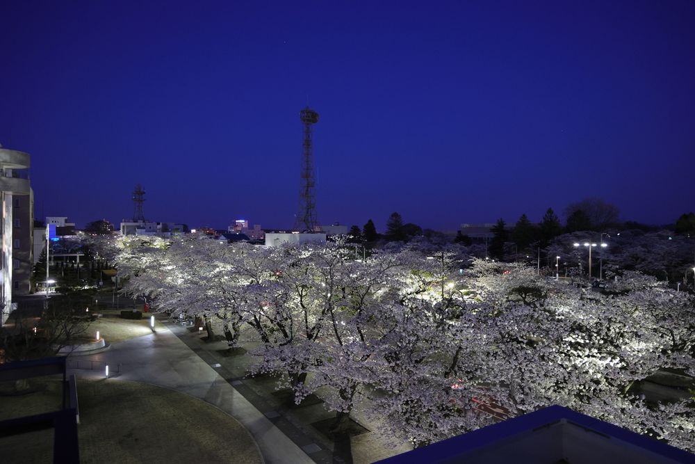 十和田市官庁街通りの画像 - 5枚目