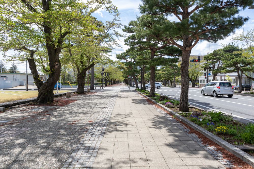 十和田市官庁街通りの画像 - 6枚目