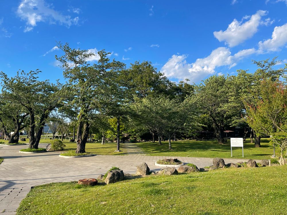 三八城公園の画像 - 4枚目