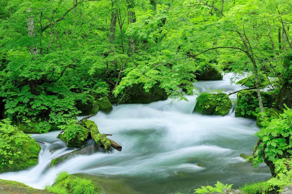 阿修羅の流れの画像 - 3枚目