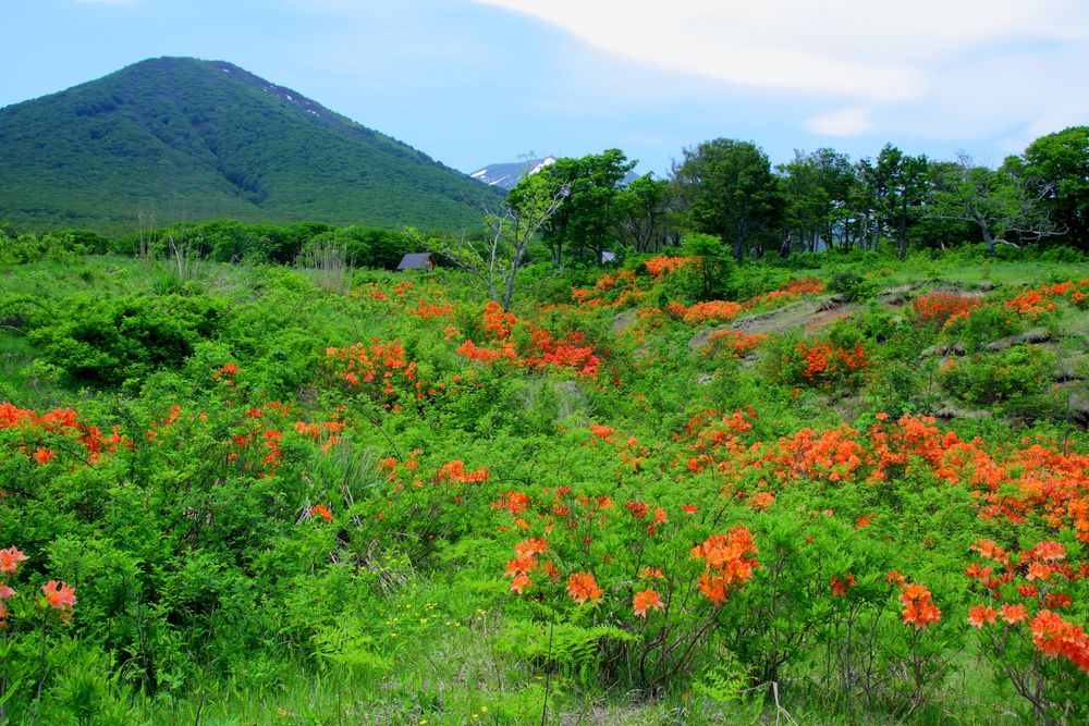 田代平湿原の画像 - 2枚目
