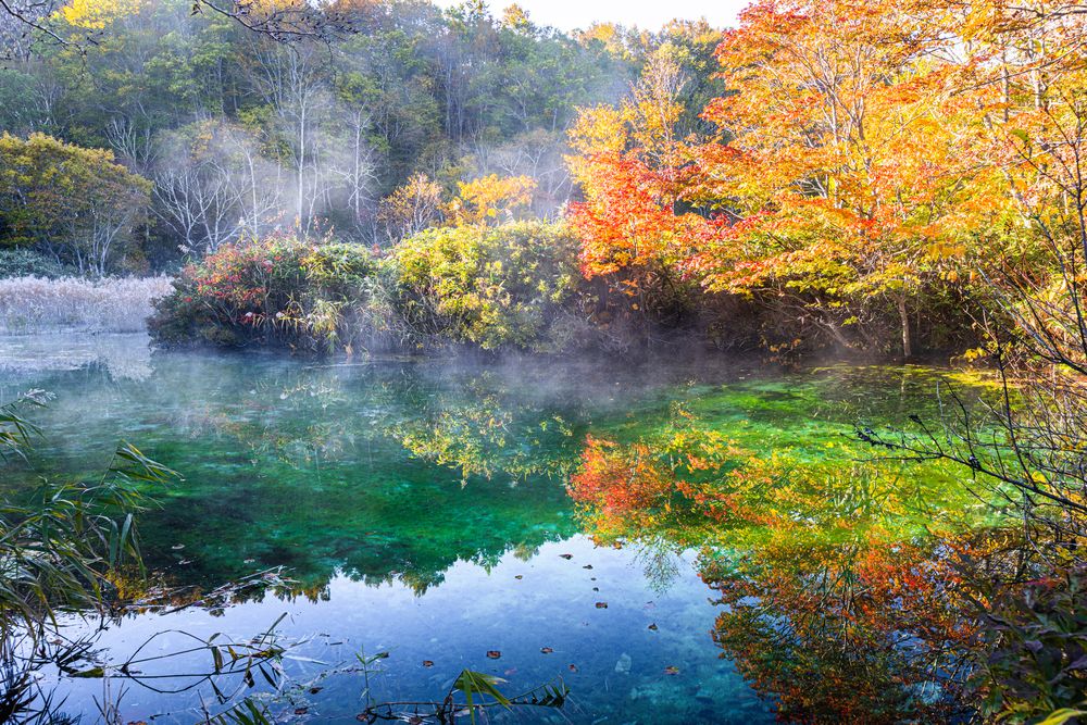 田代平湿原の画像 - 5枚目