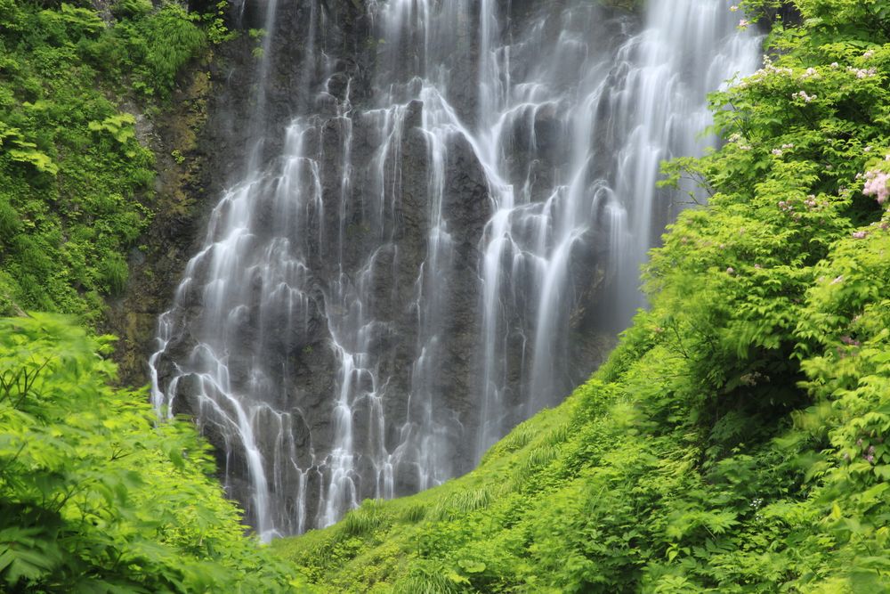 くろくまの滝の画像 - 2枚目