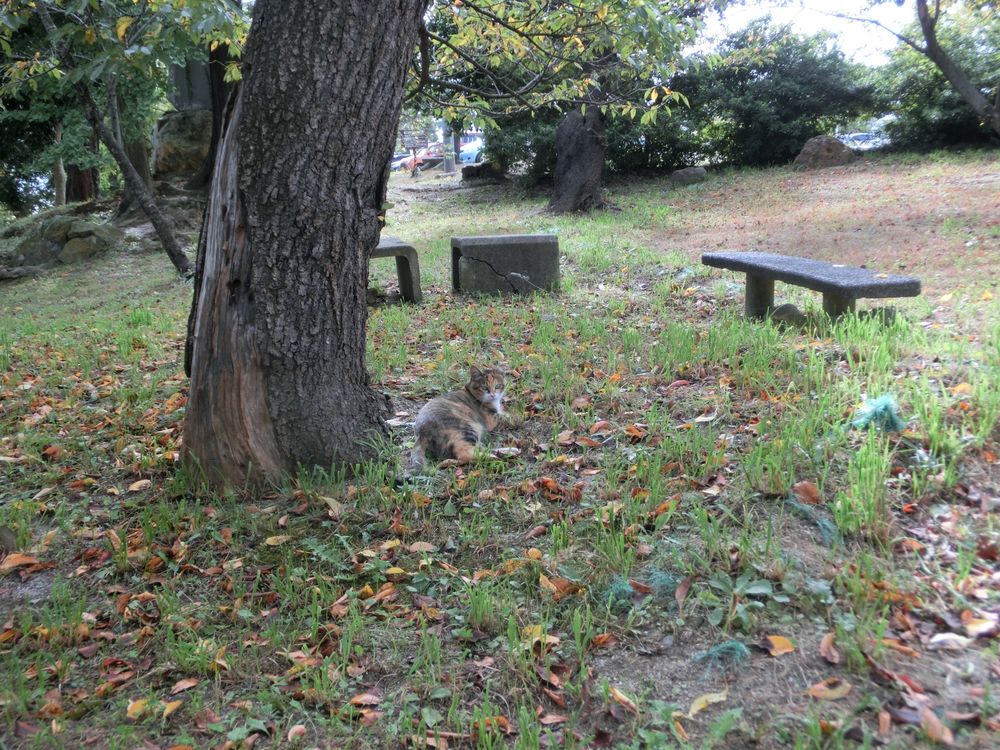 信夫山公園の画像 - 3枚目