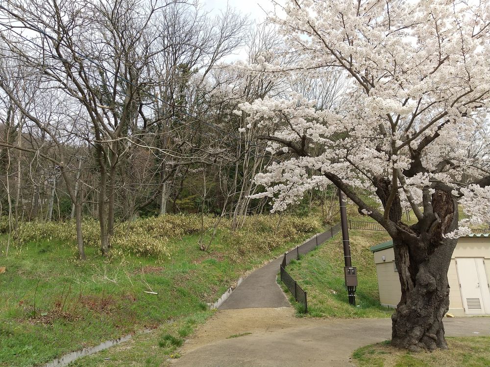 信夫山公園の画像 - 4枚目