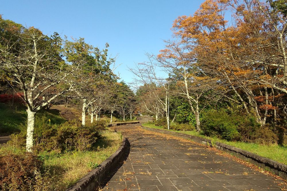 信夫山公園の画像 - 5枚目