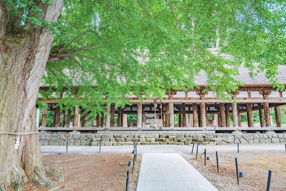 新宮熊野神社】の周辺スポット・アクセス・口コミ - Prism Japan