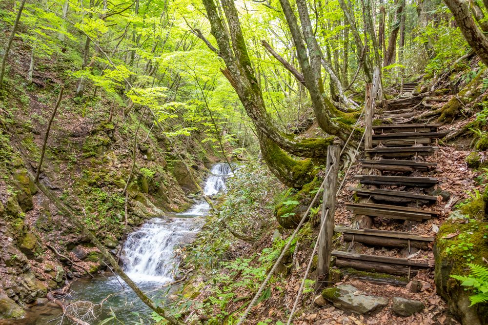 安達太良山】の周辺スポット・アクセス・口コミ - Prism Japan