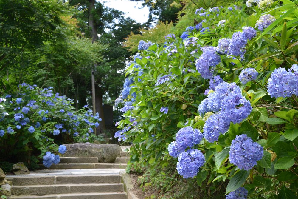 石都々古和気神社の画像 - 3枚目