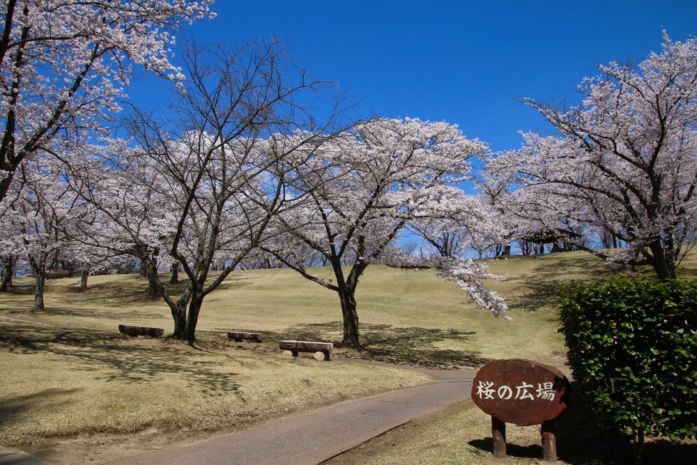 県営逢瀬公園の画像 - 2枚目