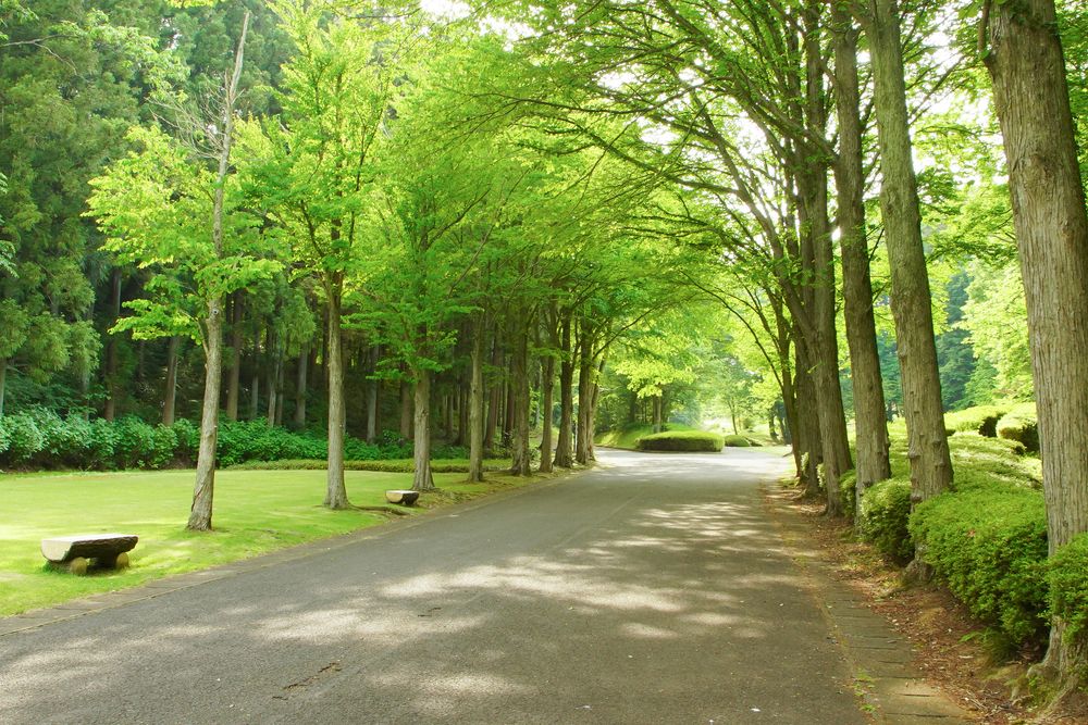 県営逢瀬公園の画像 - 3枚目