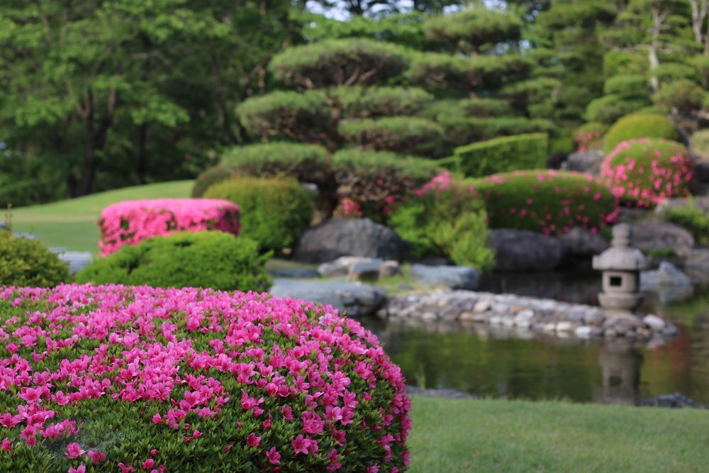 県営逢瀬公園の画像 - 4枚目