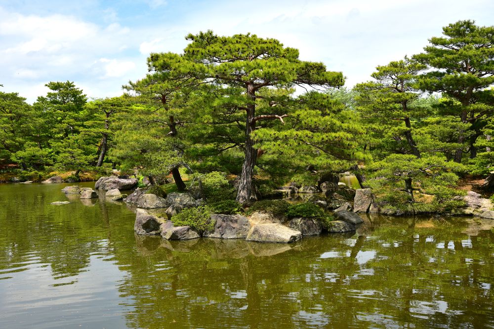 浄楽園の画像 - 4枚目