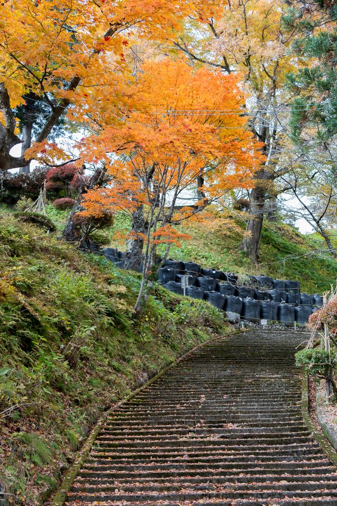 亀ケ城公園の画像 - 3枚目